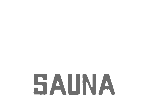 BS Studio